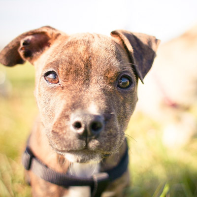 Magnetic Chisel Rack – Heavy Duty Tool Organizer for Workshop Storage
